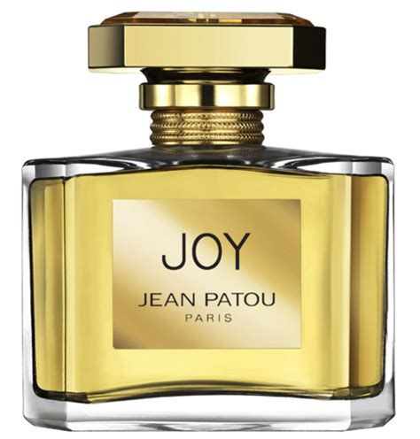 joy perfume jean patou dior|joy perfume french.